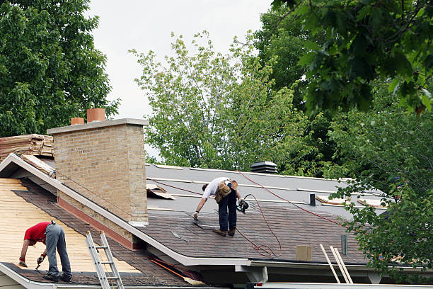 Roof Moss and Algae Removal in Cedar Hills, UT